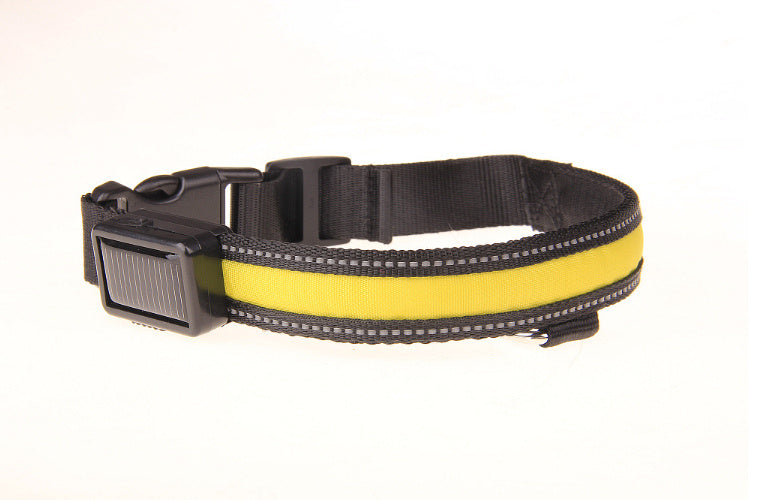 Collier lumineux solaire pour animaux de compagnie