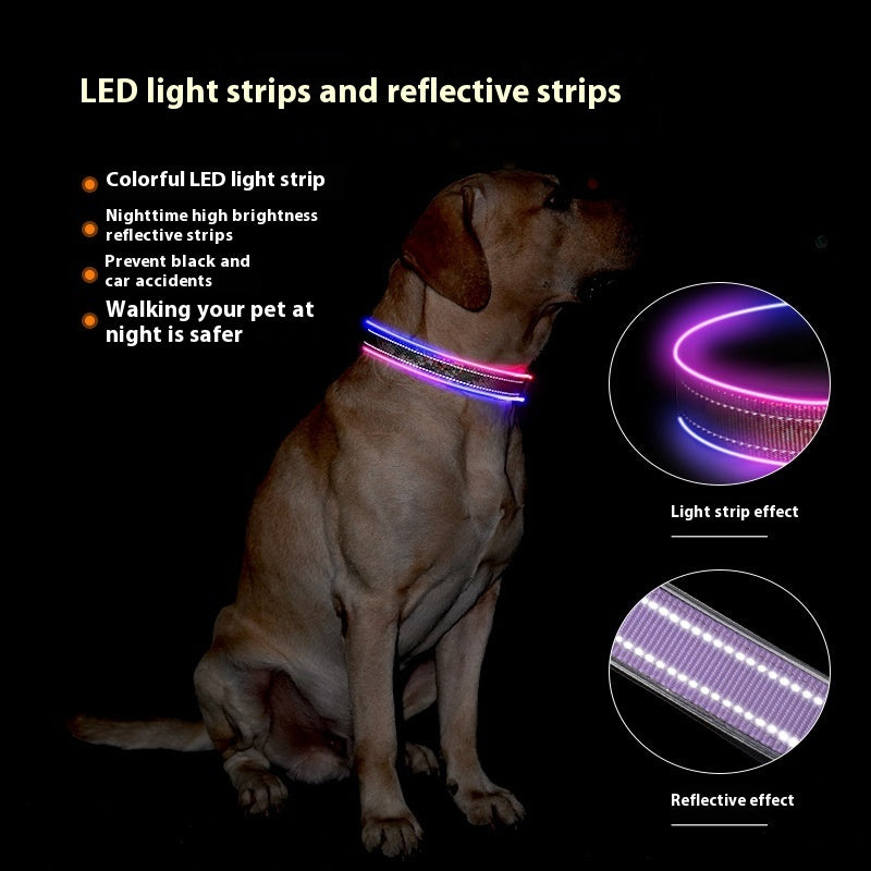 Collier réfléchissant à LED pour chien