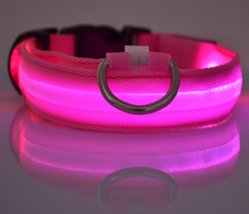Collier pour chien Night Glow