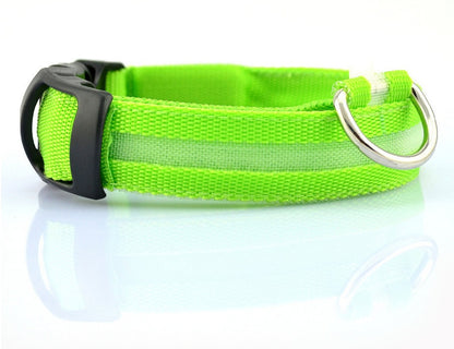 Collier pour chien Night Glow