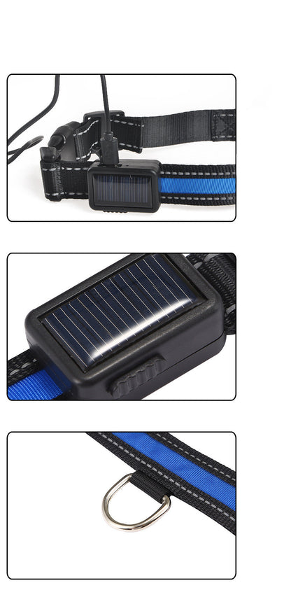 Collier lumineux solaire pour animaux de compagnie