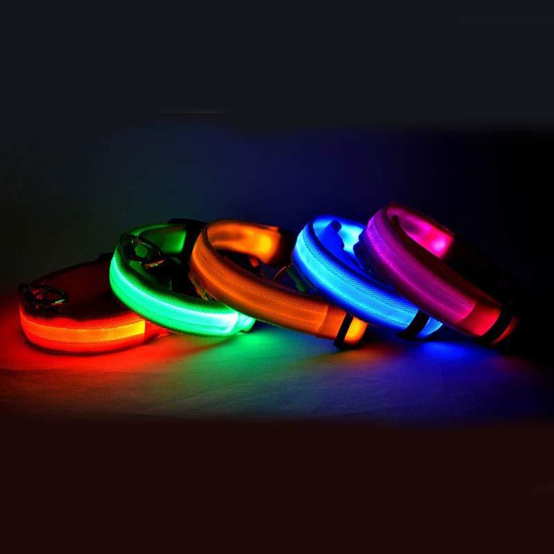 Collier pour chien Night Glow