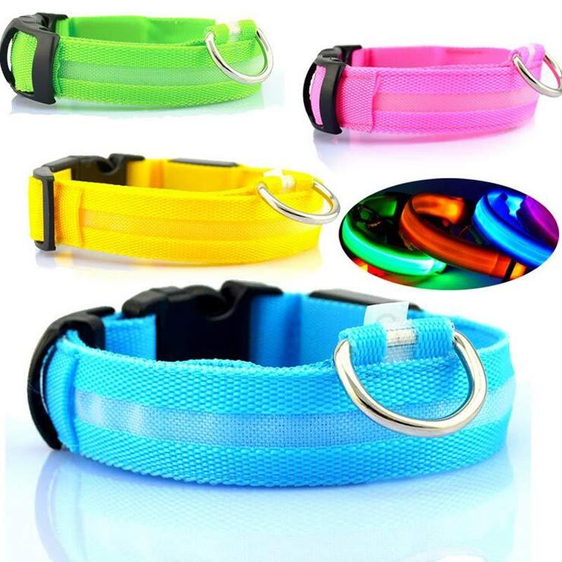 Collier pour chien Night Glow
