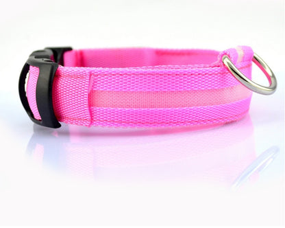 Collier pour chien Night Glow