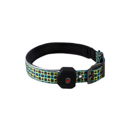 Collier réfléchissant à LED pour chien