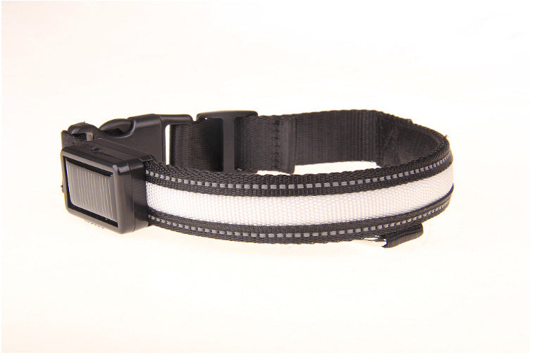 Collier lumineux solaire pour animaux de compagnie